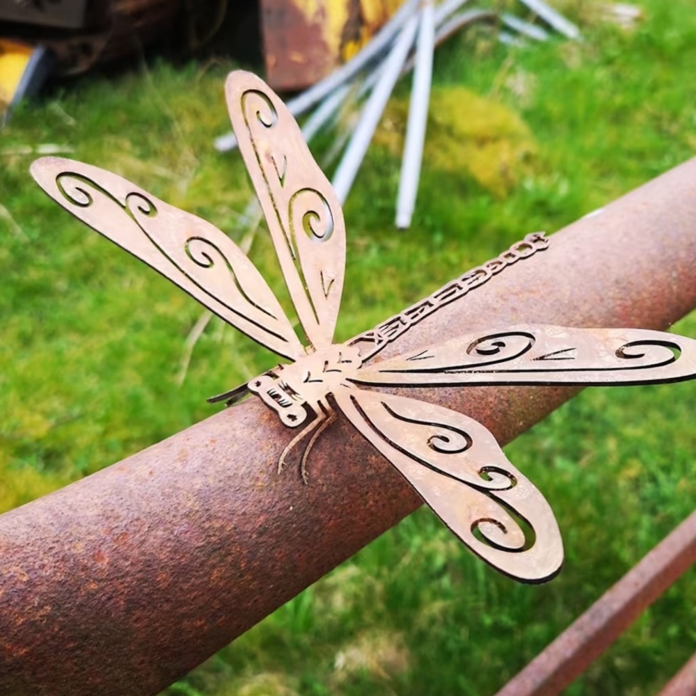 Dragonfly - Picture 4 of 8